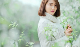 梨花雨脚镣视频,探寻古典与现代的交融之美