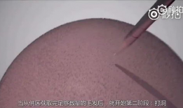 fue漫画,探索未来科技与人类命运的奇幻之旅